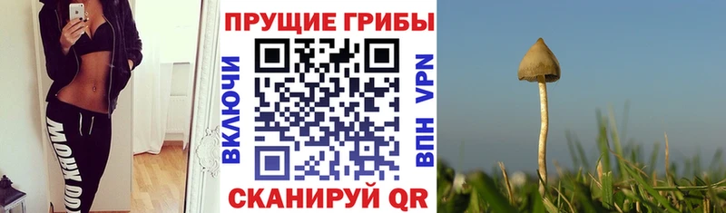 Галлюциногенные грибы прущие грибы  мега ССЫЛКА  Оханск 